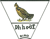 Bird Clan